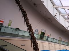 -陕西自然博物馆