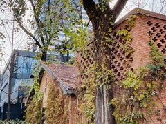 -西安电影制片厂