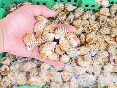 -坛南湾农家乐·海鲜楼·大排档(平潭坛南湾店)