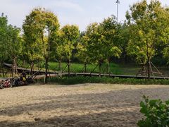 -东郊湿地公园