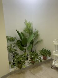 -VE专注问题肌·赛诺龙&科学美肤中心