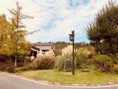 -黄陂区野村谷景区