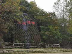 -千年银杏谷文化旅游区