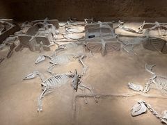 -洛阳周王城天子驾六博物馆