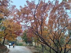 -国家植物园南园