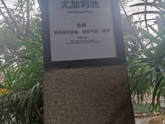 -融汇温泉