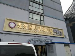 -宠爱国际动物医院·疑难骨科·心肾内科·皮肤科(太阳宫店)