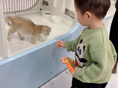 -凯德MALL(望京店)