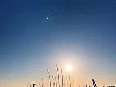 -大连一方城堡豪华精选酒店大堂吧