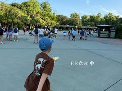 -奥兰多迪士尼动物王国乐园