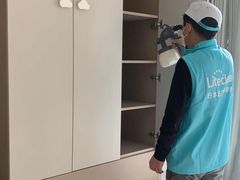 -Liteclear日本进口强效除甲醛检测治理(旗舰店)