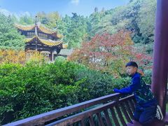 -杭州黄龙洞