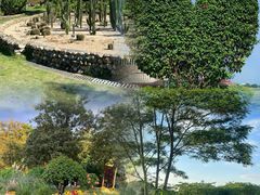 -东莞植物园