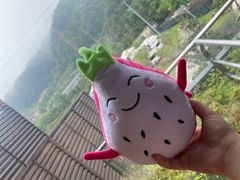 -重庆南山海昌汤都