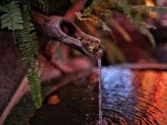 -鱼桥巷·美学川菜