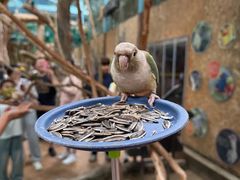 -石家庄市动物园