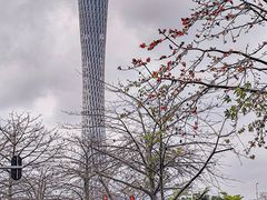 -珠江琶醍