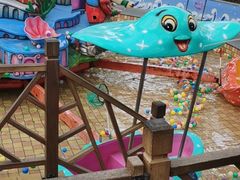 -南宫五洲植物乐园