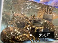 -明香海鲜酒家(华强北店)