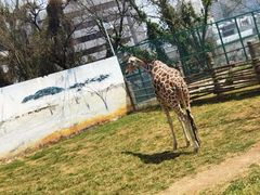 -昆明动物园