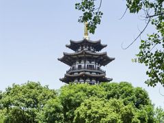 -洋湖国家湿地公园