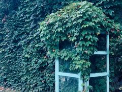 -白塘生态植物园