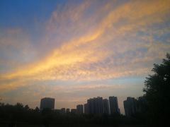 -青岛嘉年华主题乐园