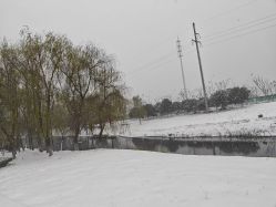 -大唐朝汽车租赁有限公司