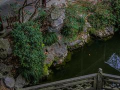 -胡雪岩故居