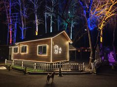 -枫花园汽车电影院(朝阳公园店)