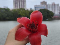 -东山湖公园