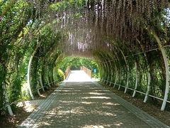 -同里国家湿地公园