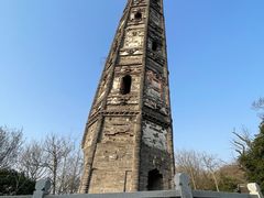 -上海佘山国家森林公园天马山园