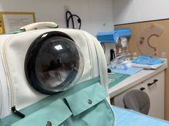 -瑞派·关忠动物医院·猫专科·犬专科(三环新城店)