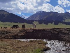 -新疆那拉提国家旅游度假区