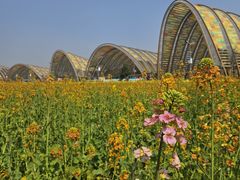 -中国天府农业博览园