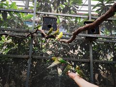 -呀路古热带植物园