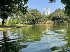 -晓港公园