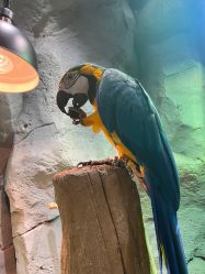 -Zoolung Zoolung动物主题公园(海信广场店)