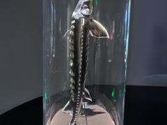 -中国湿地博物馆