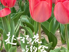 -朝阳公园