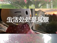 -方庄体育公园