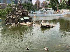 -团结湖公园
