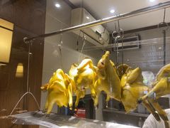 -金龙寨(解西店)