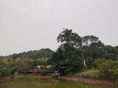 -宝光寺