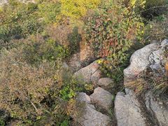 -龙洞风景区-藏龙涧