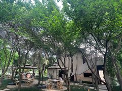 -唐城墙遗址公园