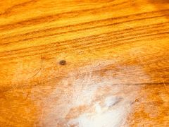-牛王庙特色面(杏苑公寓店)