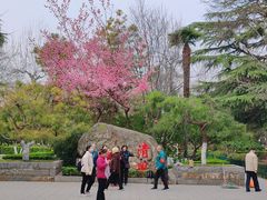 -莲湖公园