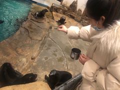 -哈尔滨融创文旅城